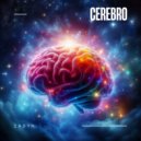 Zadyr - Cerebro ()
