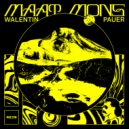 Walentin Pauer - Voyager III (Original Mix)