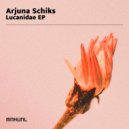 Arjuna Schiks - Striker V23 (Original Mix)