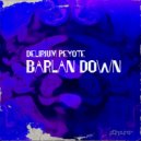Delirium Peyote - Barlan Down (Extended Mix)