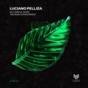 Luciano Pelliza - In a Cyrcle Again