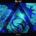 Blau Transition - Forest Code (Original Mix)