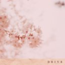 Andrey Reshetnik & Veela - Drive ()