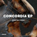 Juan Mayorga - Concordia (Flaminik Remix)