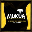 DJ Feevos feat. Precious James - The Secret