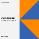 Costin Rp - Nostalgia (Original Mix)
