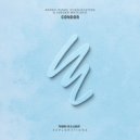 Arabic Piano, Echolocation, Jordan Whitlock - Condor (Original Mix)