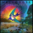 Mellodose - She Said (West Coast) ()