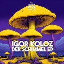 Igor Koloz - Gravity