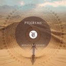 Tibetania, P1lgr1ms - Tribal Dance (Original Mix)