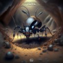 Maxter - ANTS
