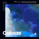 mölly (USA) & LeyeT - Wild Again (Extended Mix)