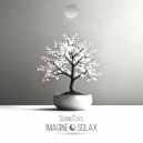 Soundtoys - Solax (Original Mix)