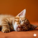 Purry - Purr Joy (Original Mix)