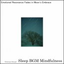 Sleep BGM Mindfulness - Dancing in the Moonlight with Serene Soundscapes for Sleep (Original Mix)