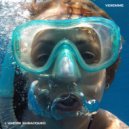 VIDIEMME - L\'Amore Subacqueo (Original Mix)
