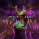 Bassline Brothers - What I'm Looking For