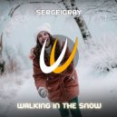 SergeiGray - Walking In The Snow