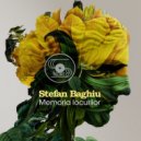 Stefan Baghiu - Vara de neuitat (Original Mix)