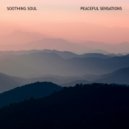 Soothing Soul - Reminiscence (Original Mix)