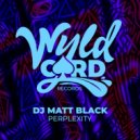 DJ Matt Black feat Darrell Daily - Gallery Of Life (Original Mix)