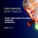 Toby Simpson - What I Need (What You Want) (Original Mix)