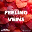 Deep Emotion - Feeling in My Veins