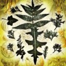 TheoEust - artemisia absinthium (feat. Sun and Moon)