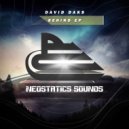 David Daks - Shining (Original Mix)