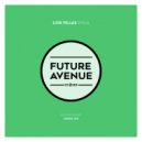 Lior Fellus - Loving You (Original Mix)
