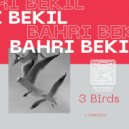 Bahri Bekil - Swallow