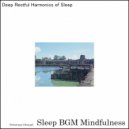 Sleep BGM Mindfulness - Healing Lullaby for Deep Sleep and Neural Activation (Original Mix)