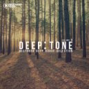 Jay Phonic - Playstick (Original Mix)