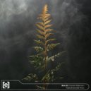 Nick K2 - Forever Aeternum