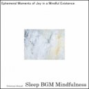 Sleep BGM Mindfulness - The Mind\'s Flight in Melodic Sound Therapy (Original Mix)