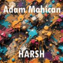 Adam Mohican - Harsh (Breaks Intro Mix)