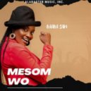 Baaba Sam - Mesom Wo (Original Mix)
