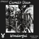 Camilo Diaz & Stateeast - Wonderful (Stateeast Remix)