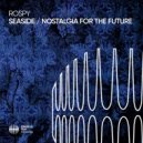 Rospy - Nostalgia For The Future (Original Mix)