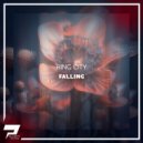 Ring City - Falling (Original Mix)