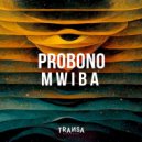 ProBono - Mwiba