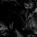 ZedKees - the chaos ()