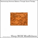 Sleep BGM Mindfulness - Refresh the Mind with Deep Breathing (Original Mix)