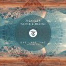 Fleanger, Tamer ElDerini, Tibetania - One Last Time (Original Mix)