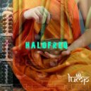 Halofreq - Senses Overloaded
