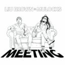 Liu Brown & Mulocks - Data War (Original Mix)