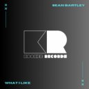 Sean Bartley - What I Like (Radio Edit)