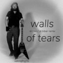 al l bo - Walls Of Tears (al biber instrumental remix)