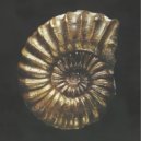 SCHADE (RU) - Shell (Slow Mix)