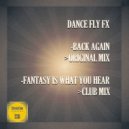 Dance Fly FX - Fantasy Is What You Hear